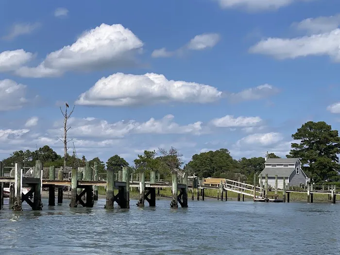 Tom's Cove Quarter Horses 3