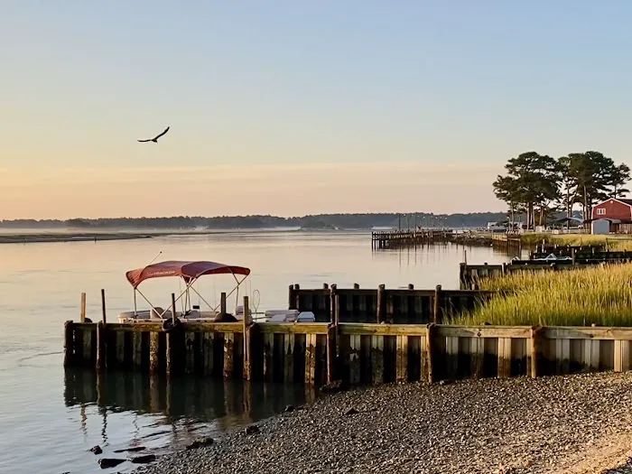 Tom's Cove Quarter Horses 1