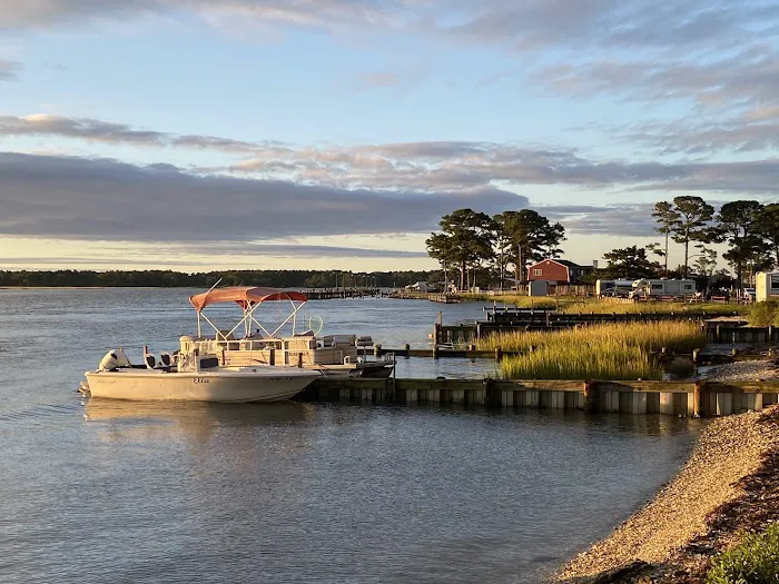 Tom's Cove Quarter Horses 4