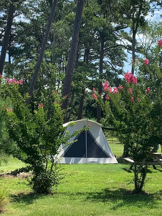 Pine Grove Campground 5