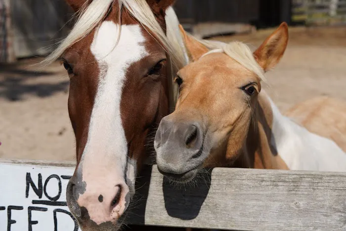 Pine Grove Campground 0