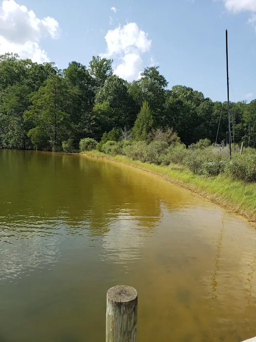 Glebe Point Campground 8