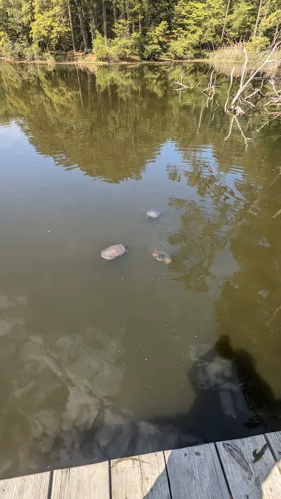 Cross Rip Campground 0