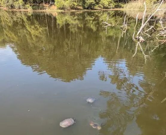 Cross Rip Campground