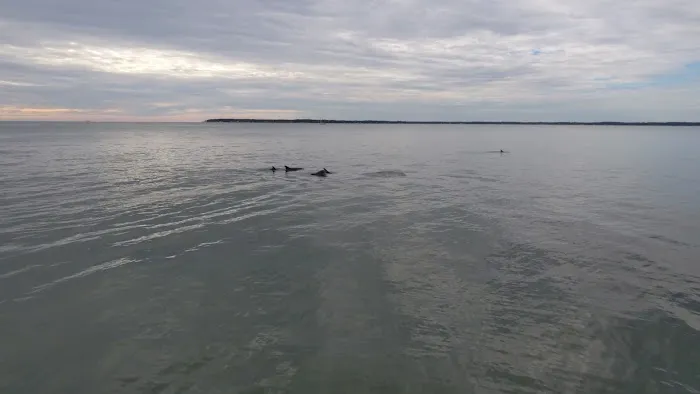 Cross Rip Campground 5