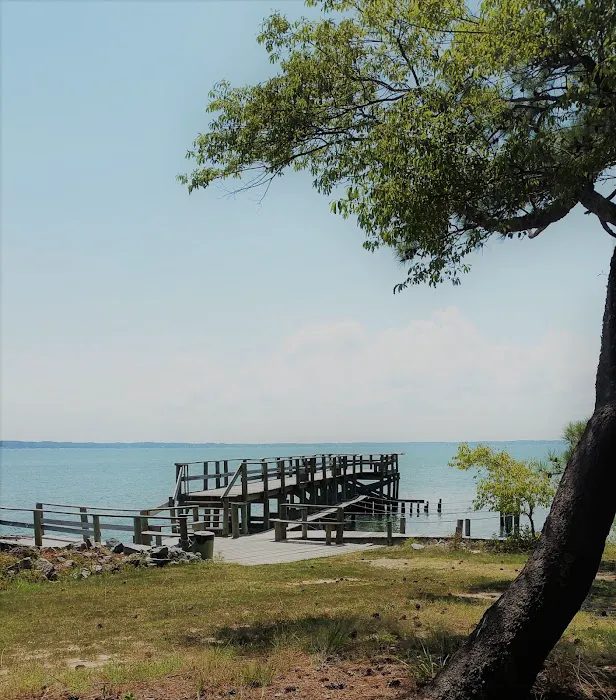 Cross Rip Campground 6