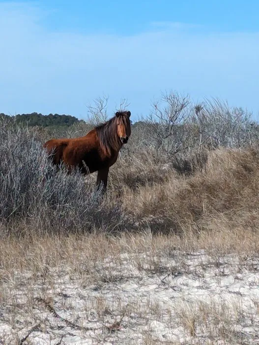 Back Country Camping-Pope Bay Campground 3