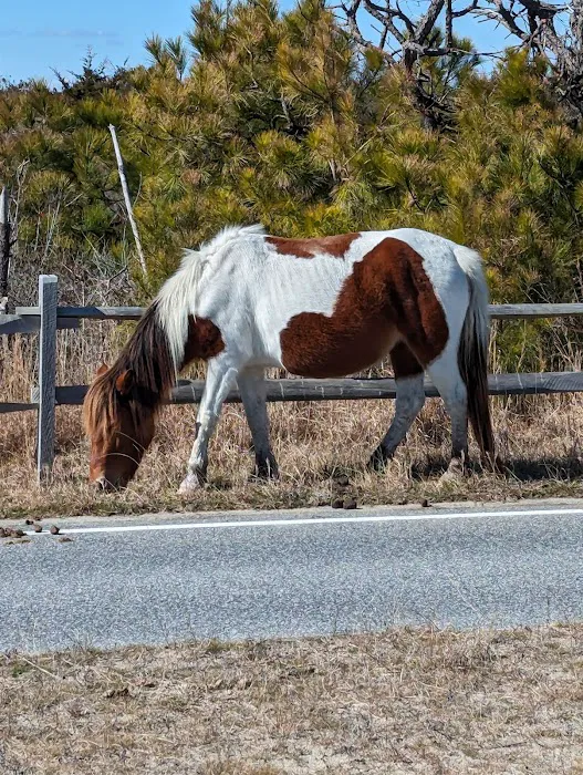 Back Country Camping-Pope Bay Campground 1