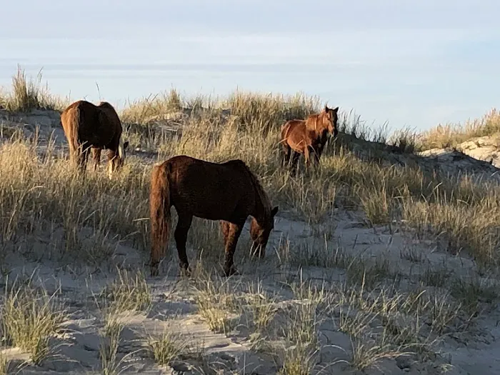 Back Country Camping-State Line Campground 3