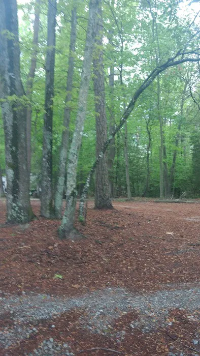 R & D Family Campground 6