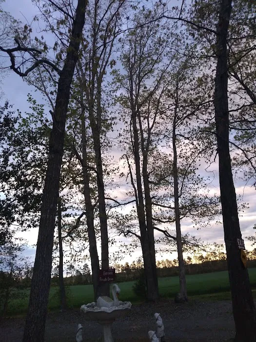 R & D Family Campground 8