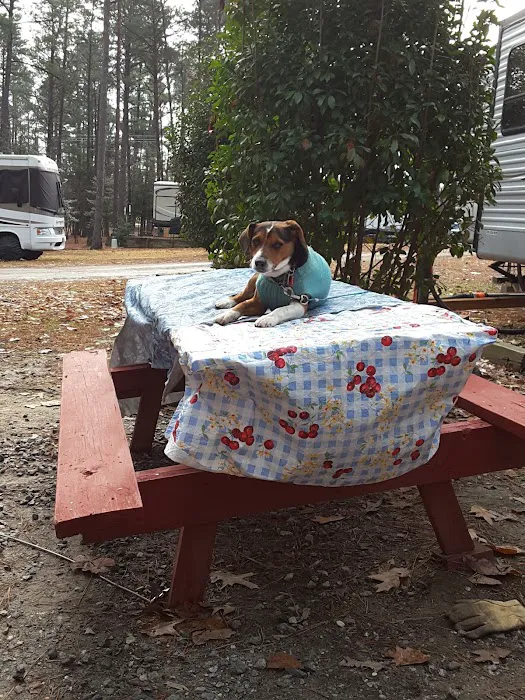 R & D Family Campground 9