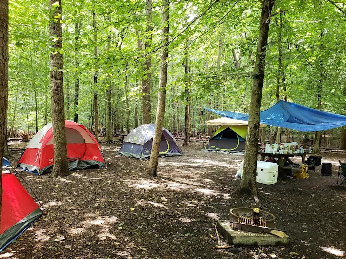 Turkey Run Ridge Group Campground 3