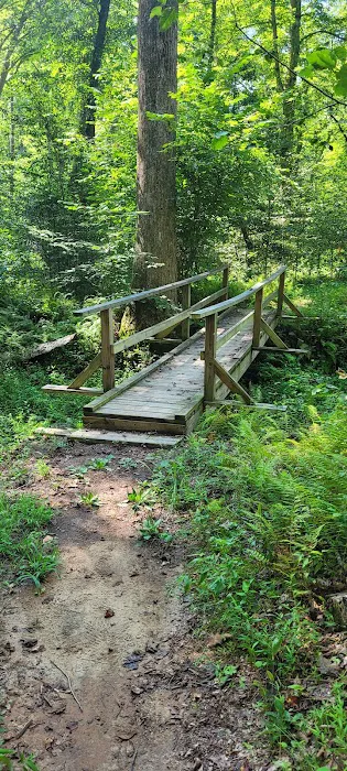 Turkey Run Ridge Group Campground 0