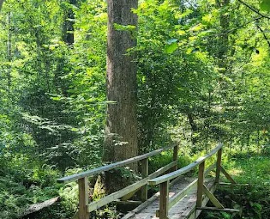 Turkey Run Ridge Group Campground