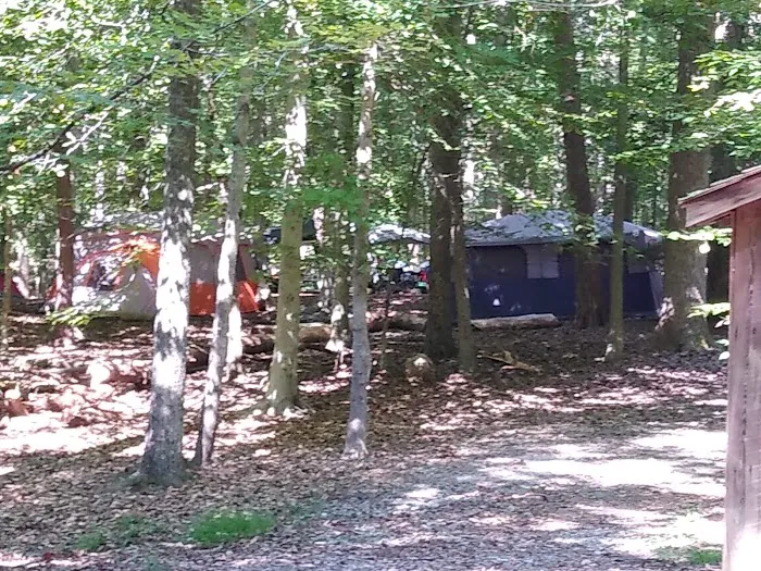 Turkey Run Ridge Group Campground 2