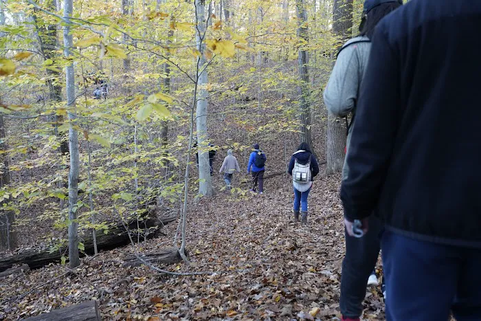 Turkey Run Ridge Group Campground 4