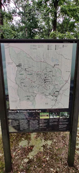 Cabin Camp 3 - Orenda Check-In 5