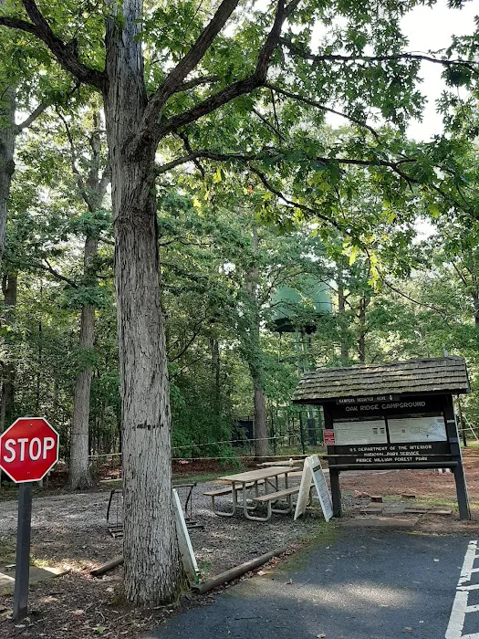 Oak Ridge Campground 6