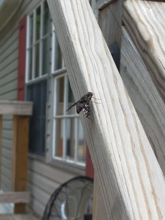 Hidden Valley Mobile Home Community 2