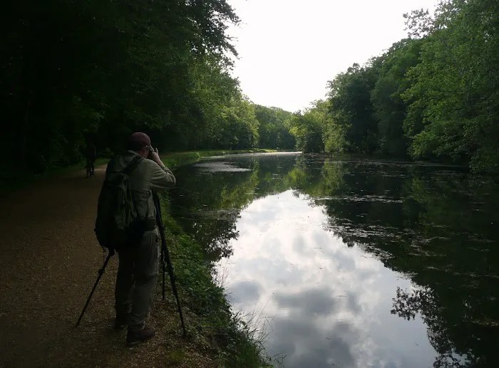 Marsden Tract Group Campground 1