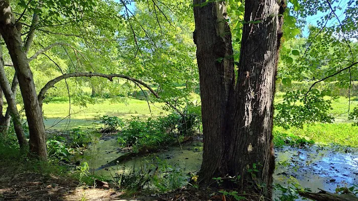 Lake Fairfax Park Campground 5