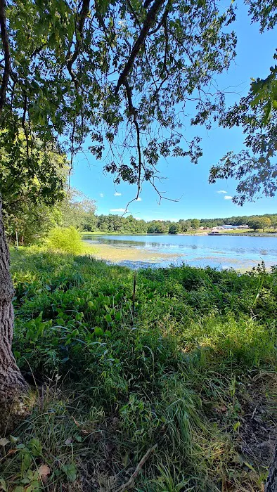 Lake Fairfax Small Group Campgrounds 2