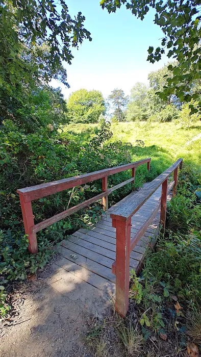 Lake Fairfax Small Group Campgrounds 1