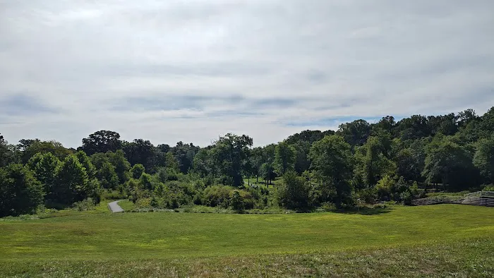 Lake Fairfax Small Group Campgrounds 5