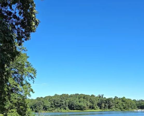 Lake Fairfax Small Group Campgrounds