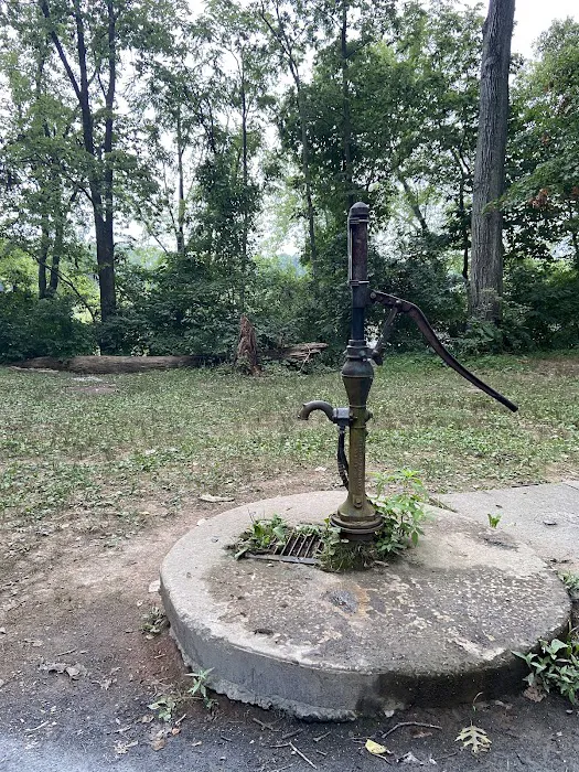 Horsepen Branch Hiker Biker Campsite 8