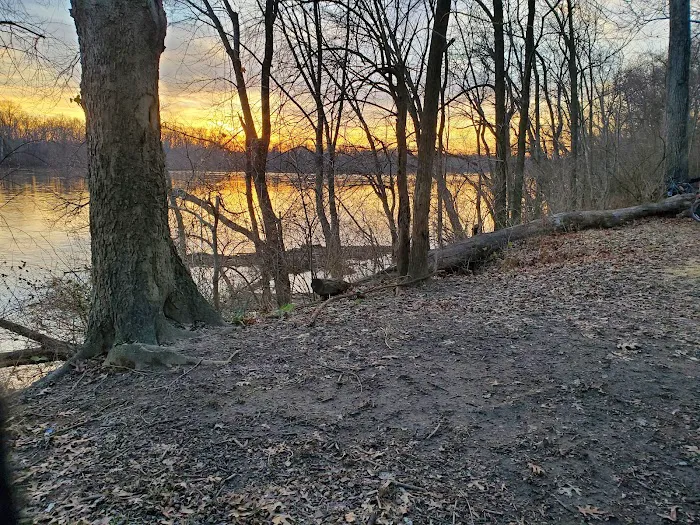 Horsepen Branch Hiker Biker Campsite 1