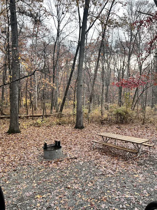 Bull Run Campground 0