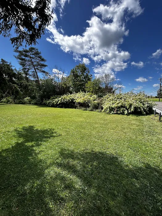 Long Meadow Mobile Home Court 0