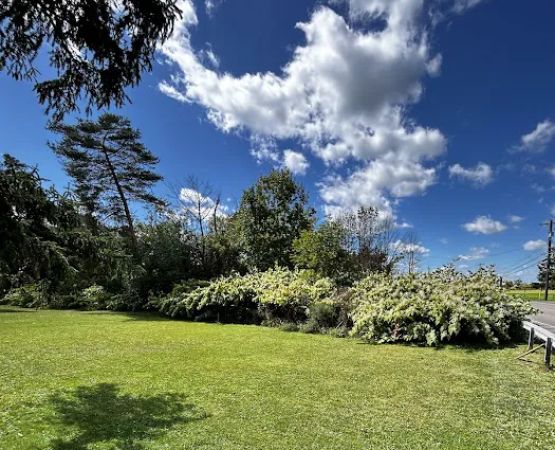 Long Meadow Mobile Home Court