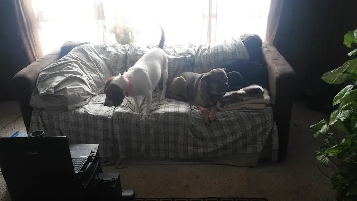 S & E Mobile Home Park 1