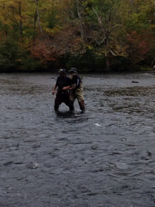 Brown's Campground 1