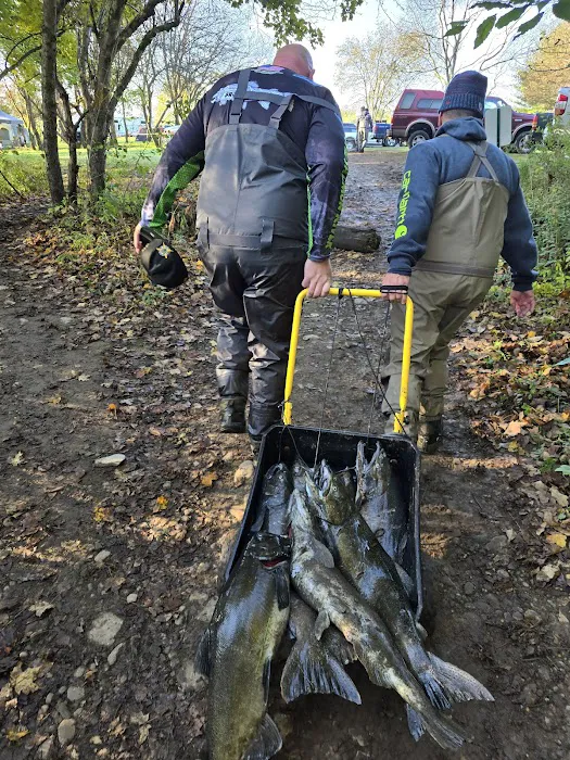 Brown's Campground 4