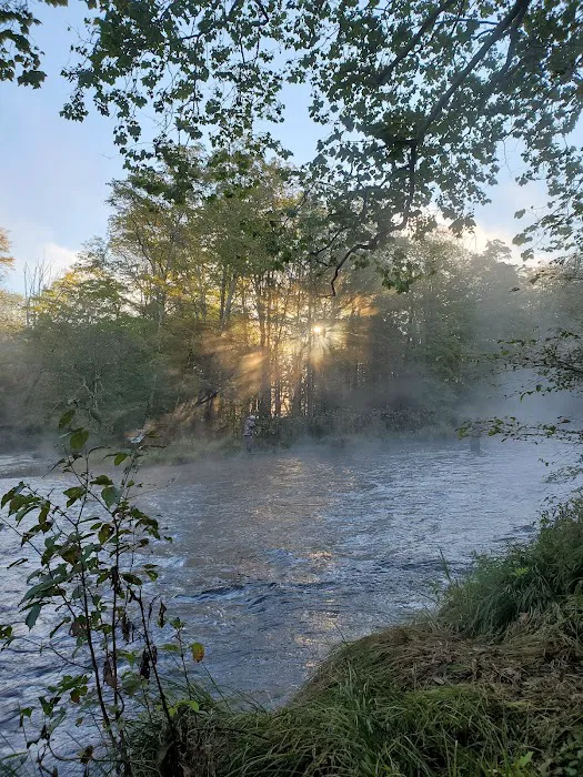 Brown's Campground 9