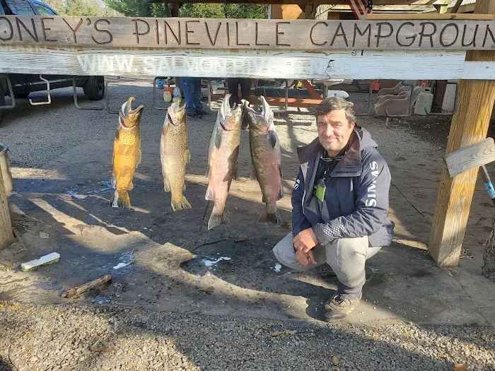 Stoney's Pineville Campground 5