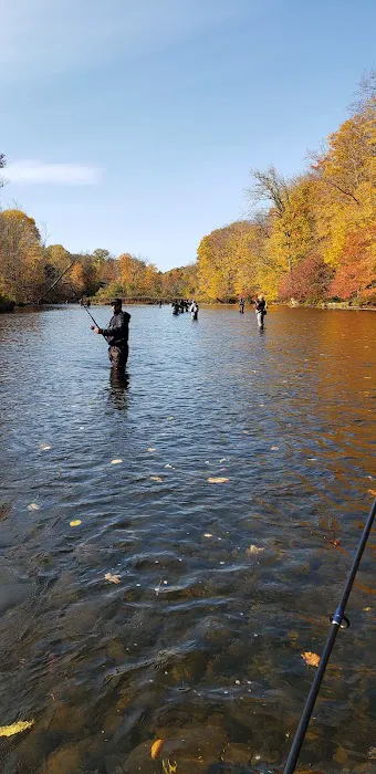 Stoney's Pineville Campground 0