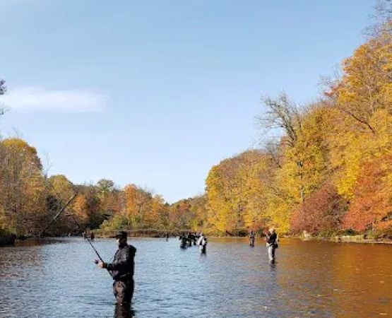 Stoney's Pineville Campground