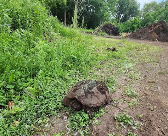 North Bay Campgrounds