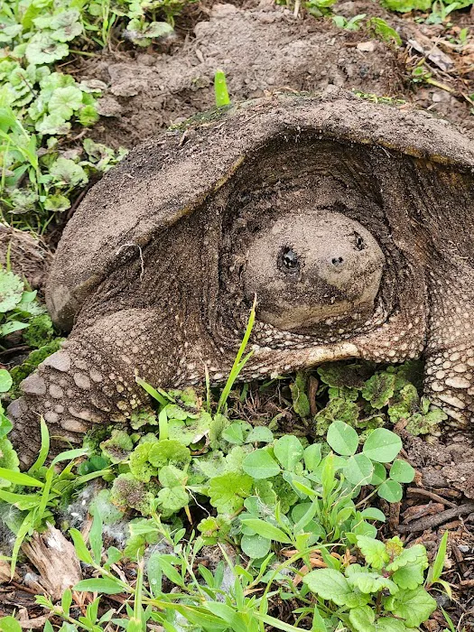 North Bay Campgrounds 3