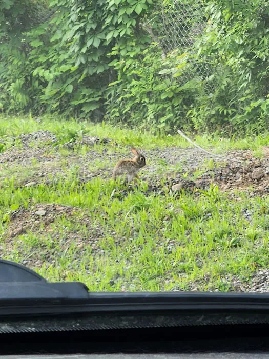 North Bay Campgrounds 2