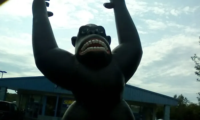 Sundown Mobile Home Park 1