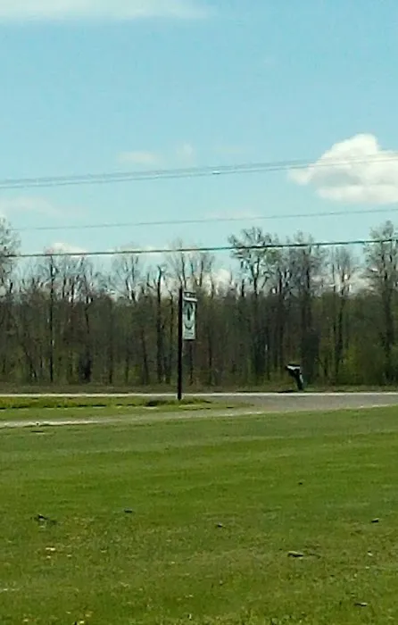 Piney Woods Campsites 8