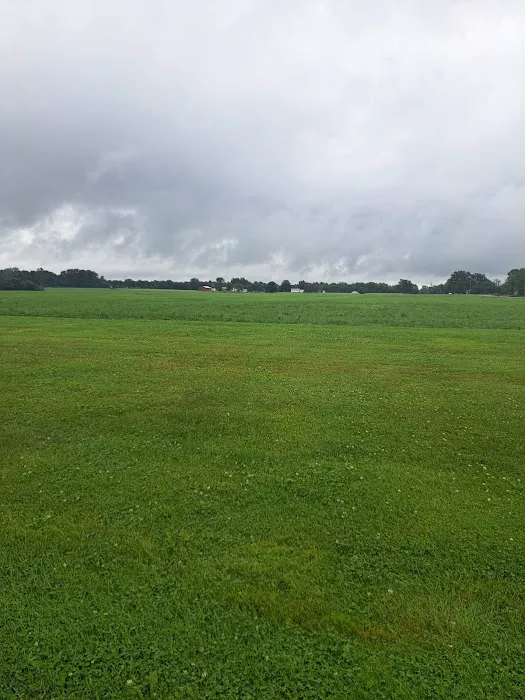 Piney Woods Campsites 6