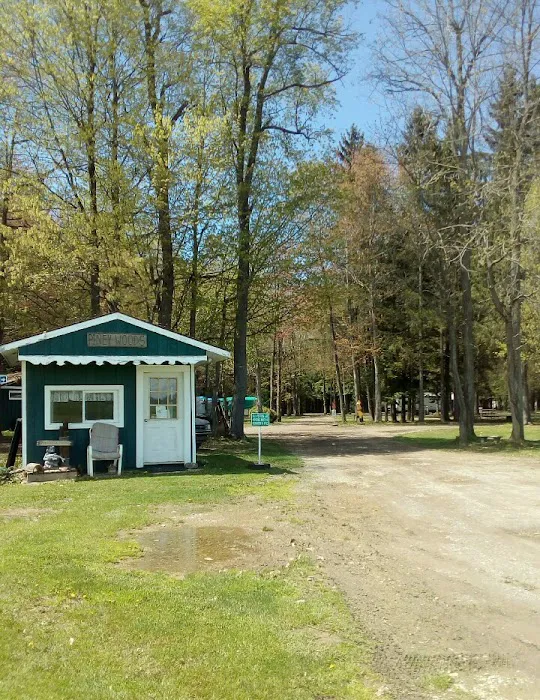 Piney Woods Campsites 7