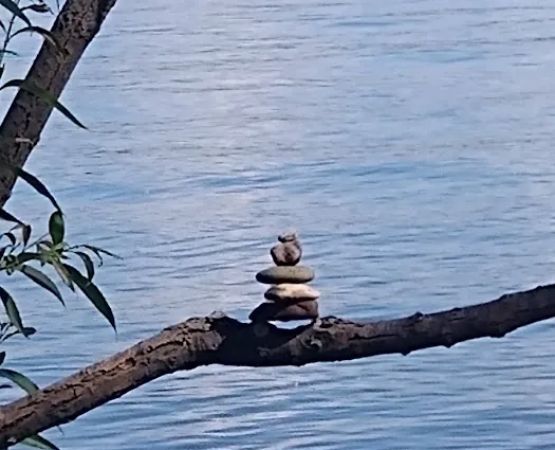 Grant's Vacation Park